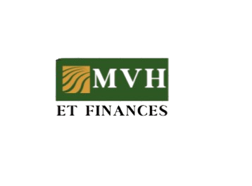 MV HOLDING ET FINANCES